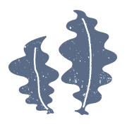 海藻・乾物