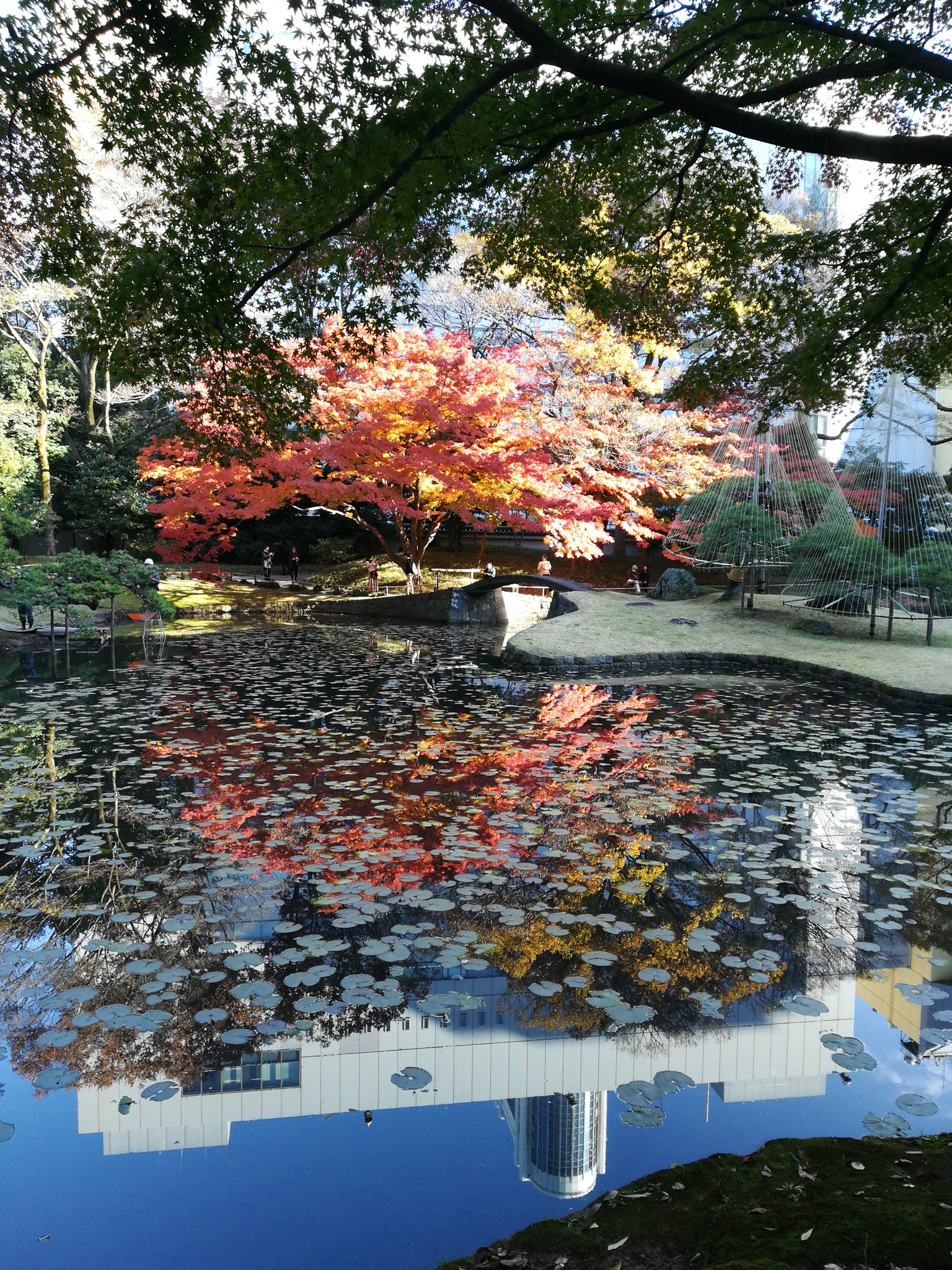 小石川後楽園