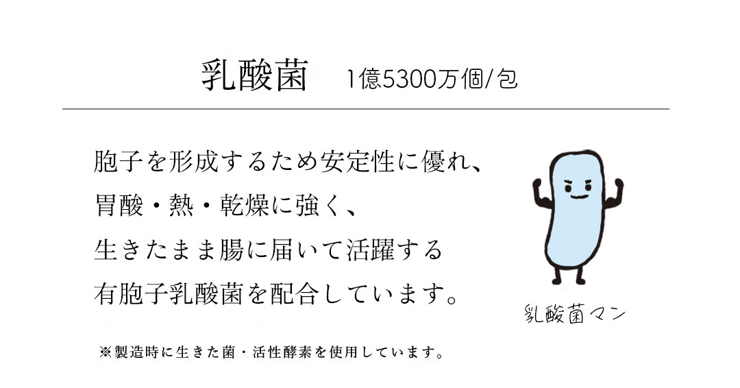 発酵5を構成する6つの要素：2.乳酸菌