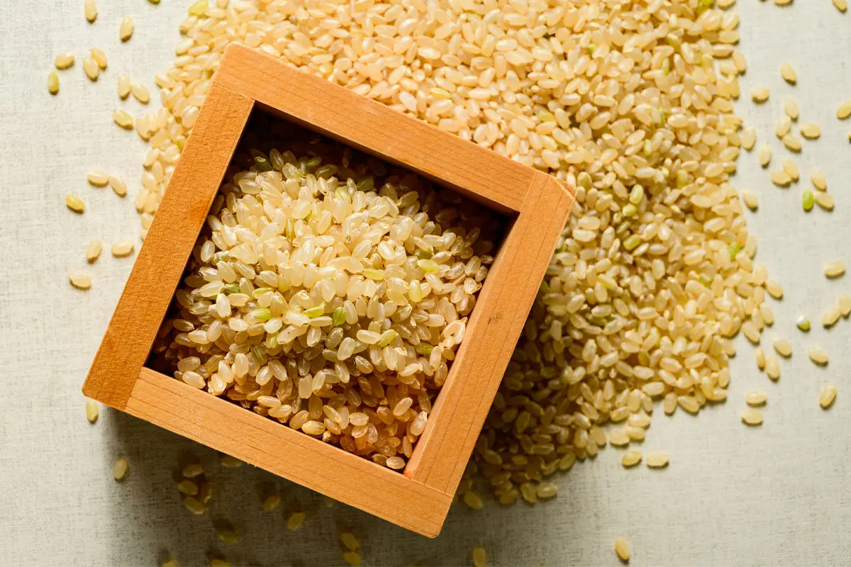 ゆめぴりかとはどんな米？北海道産の特徴・味・おすすめの食べ方まとめ